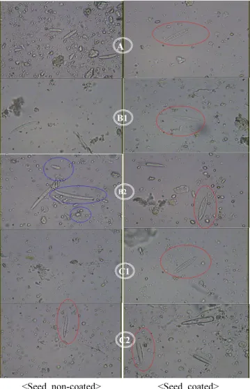 Fig. 4. Distribution of macro-conidia, micro-conidia and mycelium of  Gibberella fujikuroi in the soil and different parts  of fresh tissue of infected and healthy of 59-day-old  seedlings grown from non-coated vs