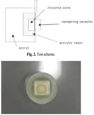 Fig. 1. Specimens of sintered zirconia.