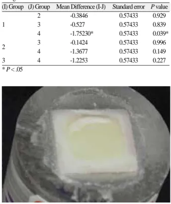 Fig. 6. View of a debonded veneered ceramic specimen.