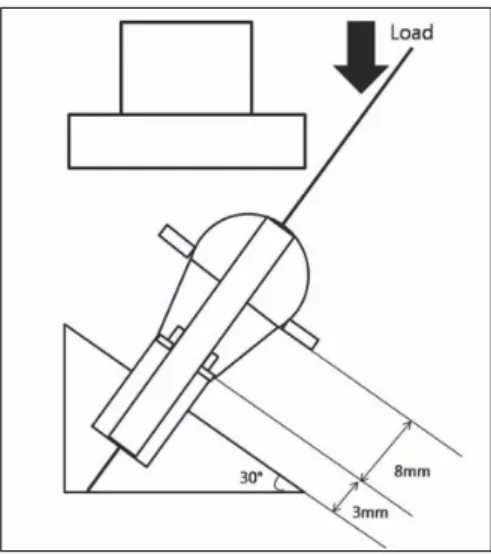 Fig. 4. The specimen is mounted in the customized jig with 30�