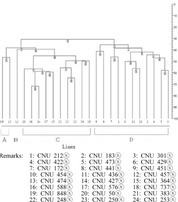 Fig. 1. SSR markers of cross parents expressed by each three  primer.