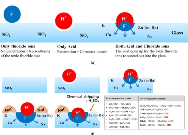 Fig. 1. A schematic of glass etch mechanism based on (a) HF, and (b) HF/H 2 SO 4