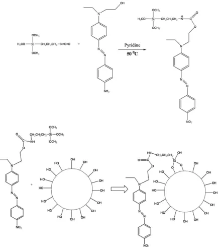 Fig. 1. Schematic representation of (a) urethane bond formation between ICPTES and DR-13 and (b) covalent bond formation  between ICPDR and silica spheres