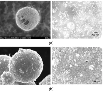 Fig. 5. Deformation behavior of PMMA micro-ball