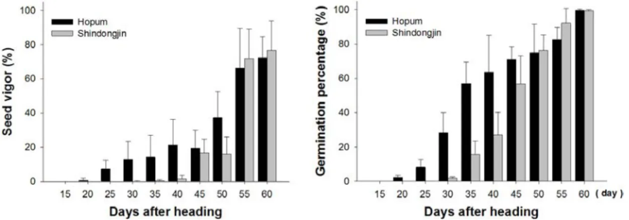 Fig. 1. Seed vigor and germination percentage of panicles according to days after heading in Hopum and Shindongjin(vertical  bars in graph are standard deviation).