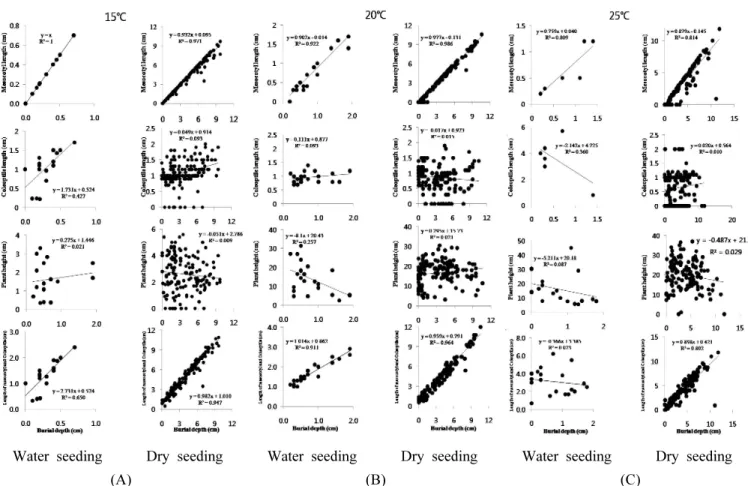 Fig. 2. Relationship between seeding depth and initial growth characteristics (mesocotyl length, coleoptile length, plant height,  and the length of coleoptile+mesocotyl) at 15 ℃(A), 20℃(B), 25℃(C) in water and dry seeded forage millet.