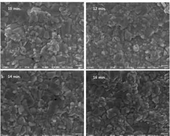 Fig. 1. Cu층을 10분~16분 사이에서 진행한 CZTS 표면 FE-SEM  이미지업 생산에 유리한 점을 보이며 상업적 접근에 이점을 선점하고 있다.2,8)비진공 증착 방법 중에서, 전기화학 증착은 공정이 간단하면서 저렴한 공정 환경 및, 상온 성장이 가능한 점 그리고 대면적에 용이한 방식과 같은 장점으로 인해 상당히 경제적이며 효율적인 증착 방식으로 평가 받고 있다