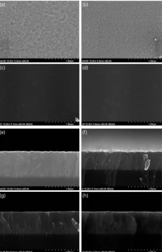 Fig. 3. Surface image (a~d), cross-sectional image (e~h) of Mg  and IIIA co-doped ZnO thin film with different Mg doping  concentration   (1)λ는 X-선의 파장(0.154056 nm), θ는 Bragg angle, κ는 고정 된 상수로 0.9 그리고, B는 반치폭 값이다