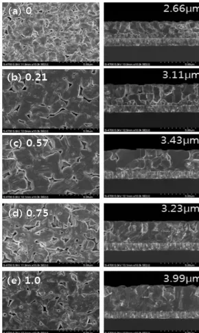 Fig. 1. Ag 함유량에 따른 3단계 진공증발 ACIGS (CIGS) 박막의  SEM  이미지