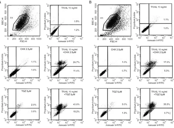 Fig.  4.  TRAIL-induced  apoptosis  in  combination  with  cycloheximide  or  troglitazone  in  TPC-1  (A)  and  FTC-133  (B)  cell  line