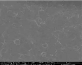 Fig. 1. CIGS absorber layer  with the composition of Cu 0.86  and Ga 0.38