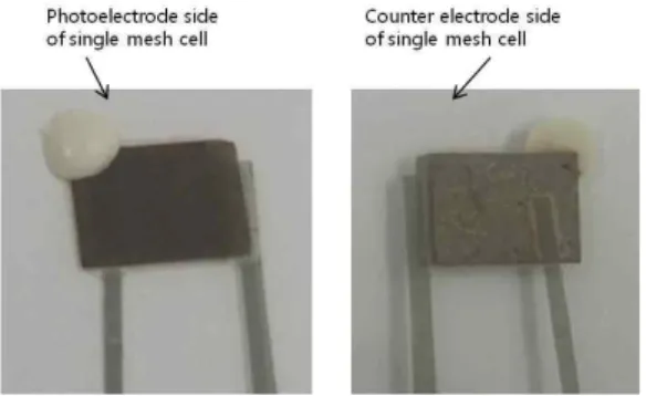 Fig. 4. SEM micrographs of (a) surface of spray-coated chopped glass paper of single mesh DSSCs, (b) high magnification SEM image