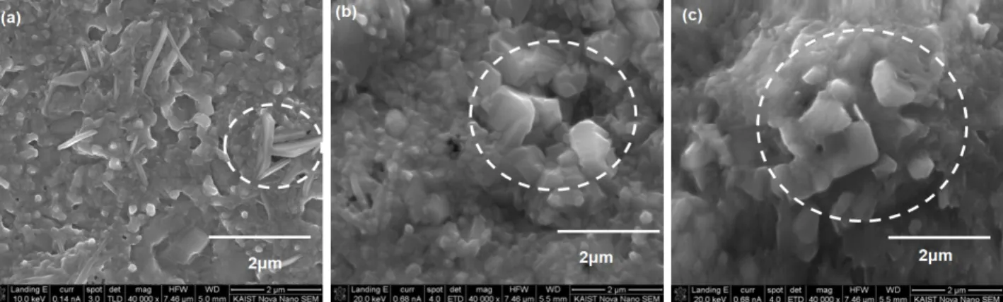 Fig. 10 shows surface micrographs of CZTS films with  various preparation temperatures