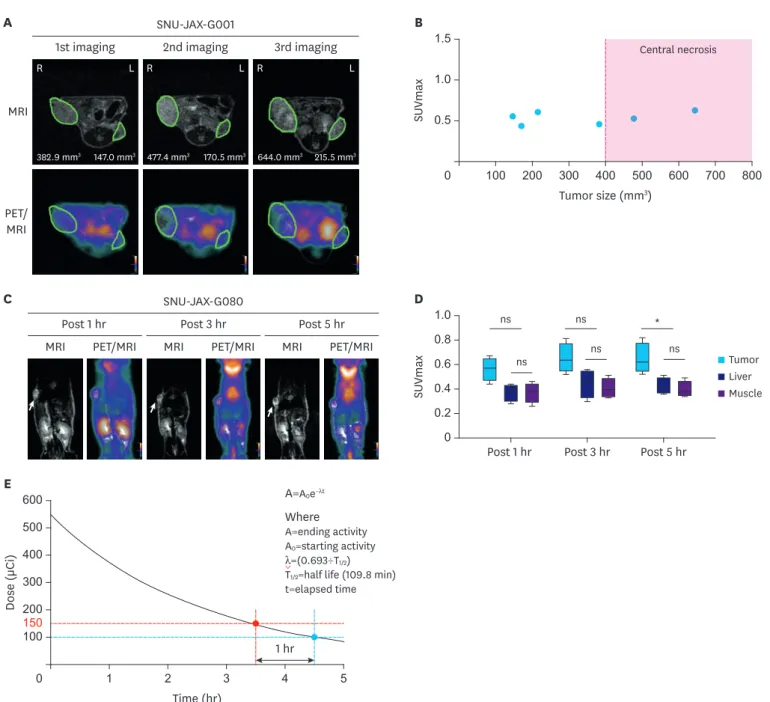 Fig. 2. Selection of optimal tumor size and dose for [ 18 F]-FDG-PET imaging protocol