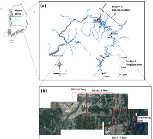 Fig. 1. Study area map for longitudinal changes in riverbed material characteristics (a) and temporal changes in river  channel geomorphology (b) in the Geum River basin, Korea.
