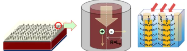Fig. 1. Schematic illustration of microstructure Si and radial  junction effect