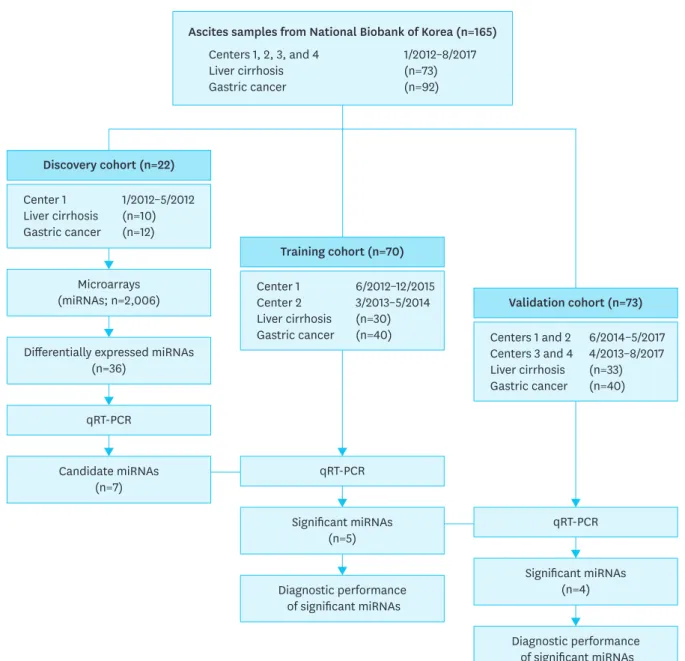 Fig. 1. Overview of the study design. 