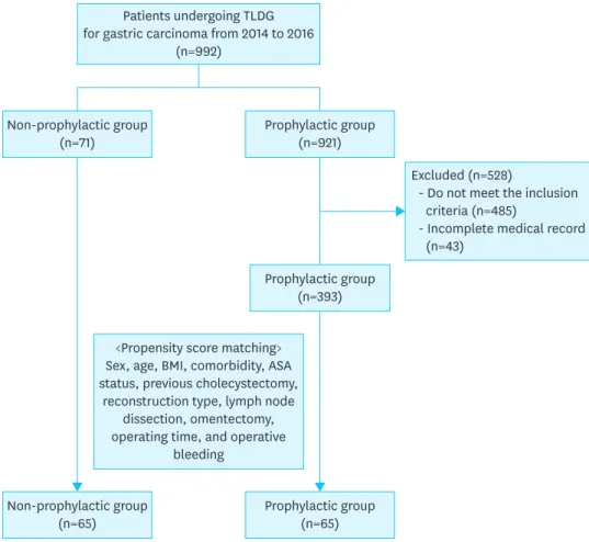 Fig. 1. Flow diagram of the study. 