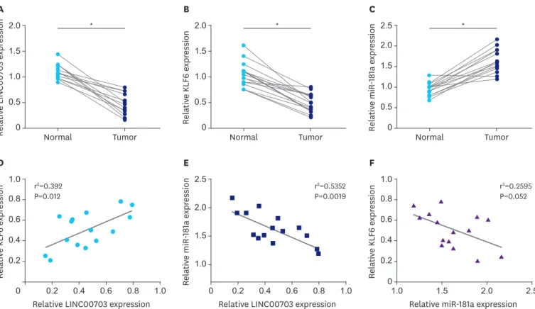 Fig. 5. LINC00703 correlates positively with KLF6 but negatively with miR-181a. qRT-PCR analysis of LINC00703 (A), KLF6 (B), and miR-181a (C) in 15 GC tissues  and their adjacent normal tissue