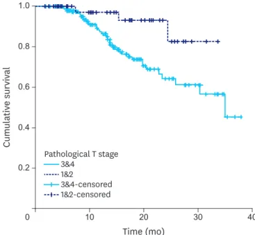 Fig. 4. Progression-free survival: pathological T staging.