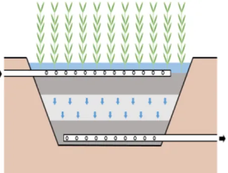 Fig. 1. Vertical Subsurface Flow Constructed Wetland. Fig. 2. Horizontal Subsurface Flow Constructed Wetland.