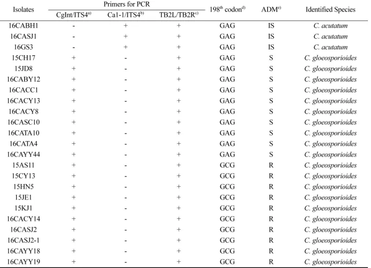 Table 1. Analysis of Colletotrichum isolates obtained from diseased pepper fruit by using DNA sequences of ITS and β-tubulin gene, and response to carbendazim