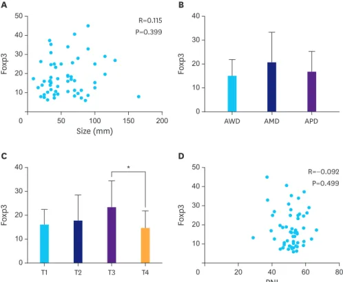 Fig. 3. Foxp3 (+) TILs and associated characteristics. (A) Correlation analysis of tumor size and Foxp3