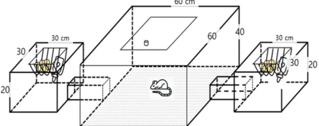 Fig. 1. Diagram of rodenticidal effect test