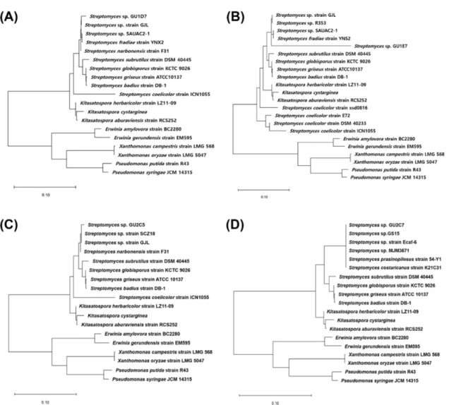 Fig. 4. Phylogenetic tree of strains GU1D7, GU1E7, GU2C5 and  GU2C7  based  on  16S  rRNA  and  housekeeping  genes (atpD, rpoB and trpB)