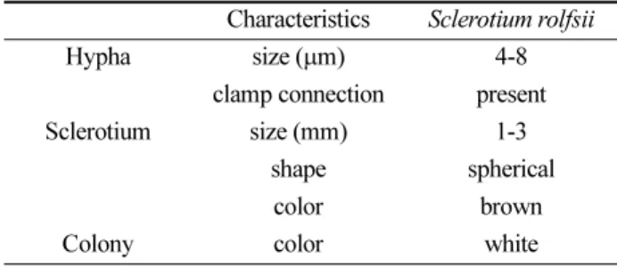 Table 1. Mycological characteristics of Sclerotium rolfsii isolate in this study