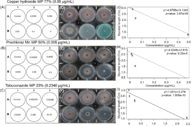 Fig. 1. Fungicides resistance test and linear regression analyses of EC 50  value (A ~ C)