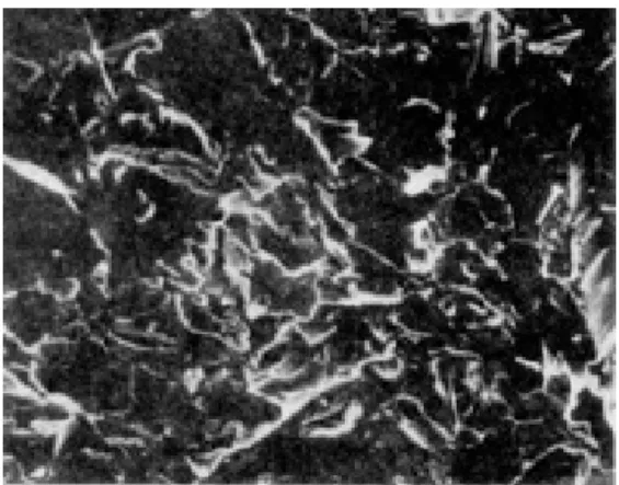 Fig. 3 Al 2 O 3 blasted Rexillium Ⅲ(×2000)