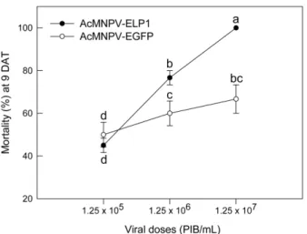 Fig. 3. Variation in control efficacy of AcMNPV-ELP1 against different larval instar of S