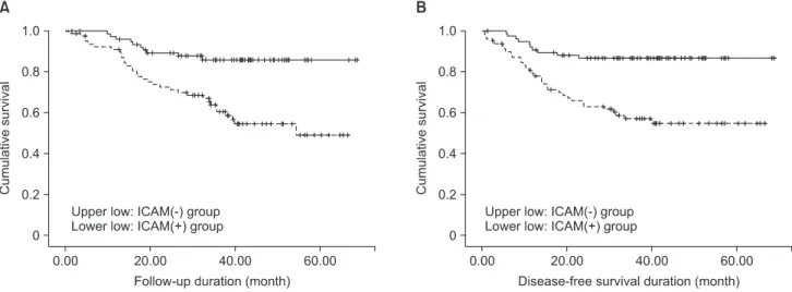 Fig. 3. (A) Overall 3-year survival of gastric cancer patients according to the intercellular adhesion molecule-1 (ICAM-1) immune reactivity