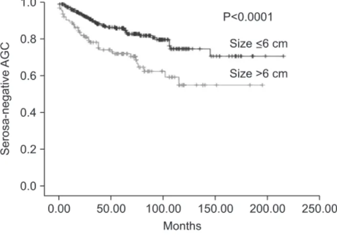 Fig. 1. Survival rate according to tumor size showed significant dif- dif-ference in all cases of advanced gastric cancer (AGC) (P&lt;0.0001),  se-rosa-negative AGC (P&lt;0.0001), and serosa-positive AGC (P&lt;0.0001),  respectively