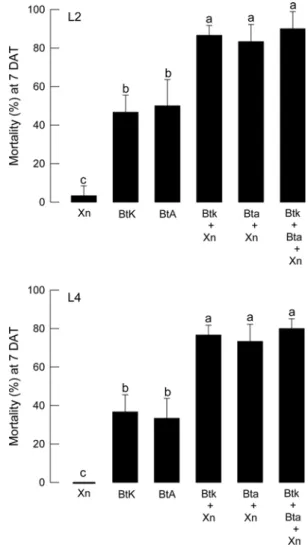 Fig. 2. Enhanced toxicity of BtPlus compared to single Bacillus thuringiensis (‘Bt’) treatments against M