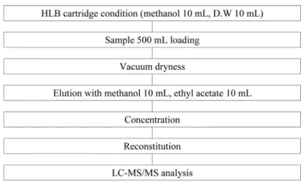 Fig. 3. Scheme of preparation method for water sample.