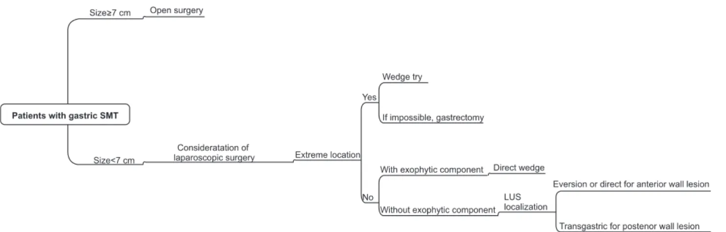 Fig. 1. Image-based approach for laparoscopic wedge resection. SMT = submucosal tumor; LUS = laparoscopic ultrasound.