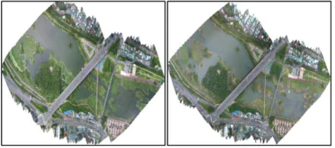 Fig. 8. Drone image (high water channel). Fig. 9. Vegetation change by difference image.