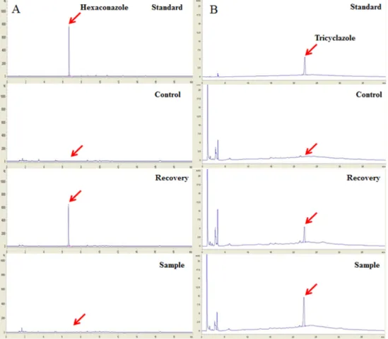 Fig. 1. Representative standard, control, recovery and sample chromatogram of hexaconazole (A) and tricyclazole (B).