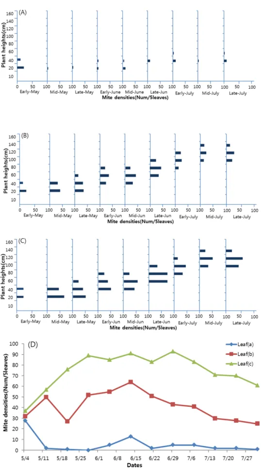 Fig. 4. Vertical distribution of tomato russet mite, A. lycopersici on infested leaves in chemical agent sprayed (A), organic material sprayed (B) and no sprayed (C)