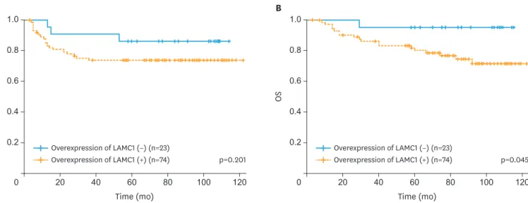 Fig. 2. Kaplan-Meier curves representing the association between LAMC1 overexpression and (A) PFS and (B) OS rates
