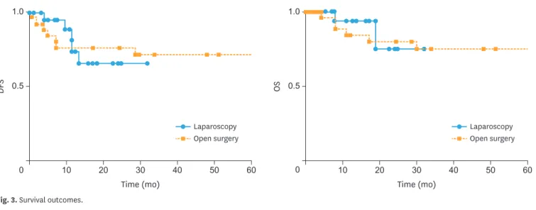 Fig. 3. Survival outcomes.