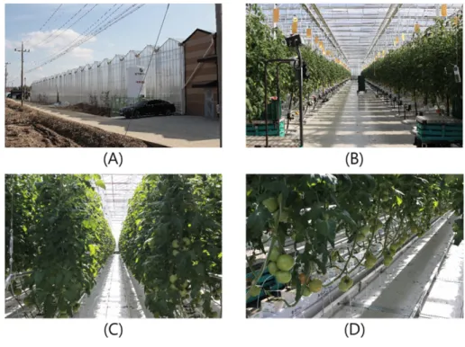 Fig. 1. An appearance of the smart farm in Nonsan. (A) An appearance from outside; (B), (C) and (D): An appearance from inside.