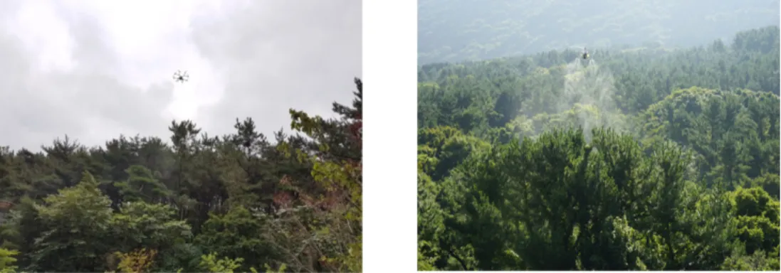 Fig. 5. Spray of thiacloprid 10% SC using drone (left) and unmanned helicopter (right) in experimental field.