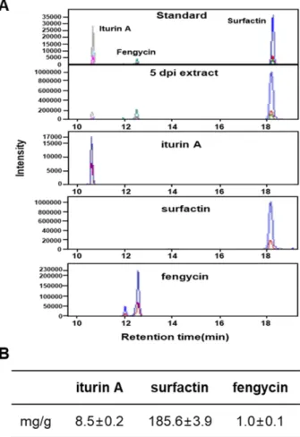 Fig. 3. Biochemical analysis of cyclic lipopeptides produced by strain PPL. Bacterial cells were grown in MBP broth for 5 days at 28 o C