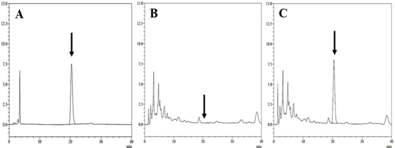 Fig. 2. Chromatogram of tetraconazole in perilla leaves by GC-ECD (A: tetraconazole standard solution 10 mg/kg, B: control, C: