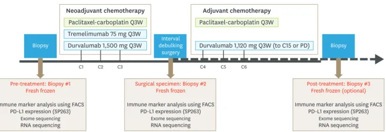 Fig. 1. Study schema. 