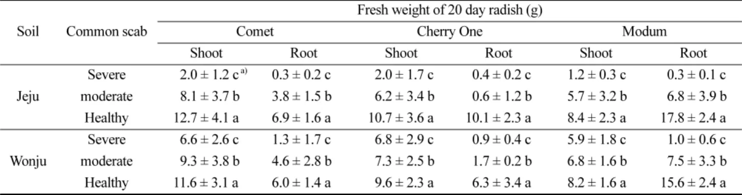Table 2. Growth Comparison of 20 day radish varieties, Comet, Cherry One, and Modum cultivated on soils infested with potato common scab disease in Jeju and Wonju