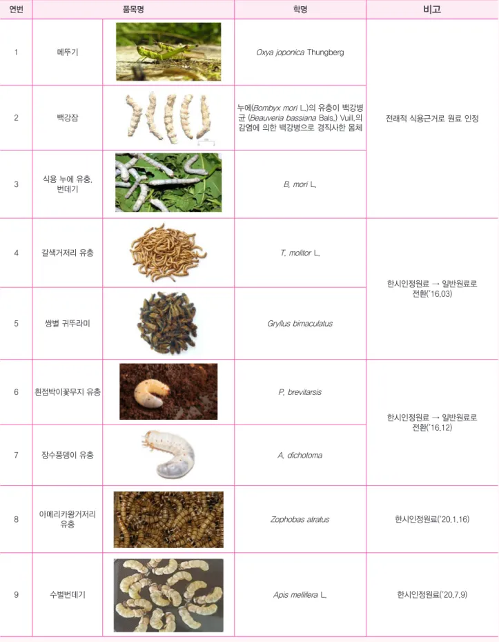 표 2. 국내 식품원료로 허용된 식용곤충 